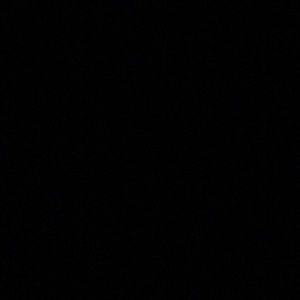 Meet your Posher, Daniela